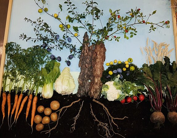 Eine kreative Anordnung von Gemüse und Obst, die ein Baumdesign darstellt. Rings um den Baum sind Karotten, Kartoffeln, Radieschen, Kohl, Rote Bete und verschiedene Früchte wie Äpfel und Pflaumen platziert, alles auf einer dunklen Erde basierend.