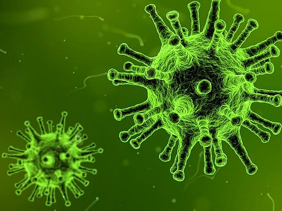 Die Abbildung zeigt zwei grüne Viren, die mit zahlreichen Stacheln versehen sind. Der Hintergrund ist in verschiedenen Grüntönen gehalten, was die Darstellung der Viren hervorhebt. Die Gesamtkomposition vermittelt ein Gefühl von Mikrobiologie und Infektion.