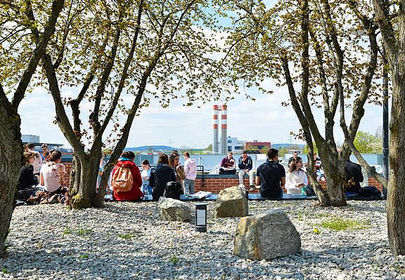 Gruppe junger Menschen sitzt unter blühenden Bäumen im Freien, teils auf einer niedrigen Mauer, teils im Kies. Sie unterhalten sich und entspannen bei sonnigem Wetter, wie auf einem Campus oder in einem Park.