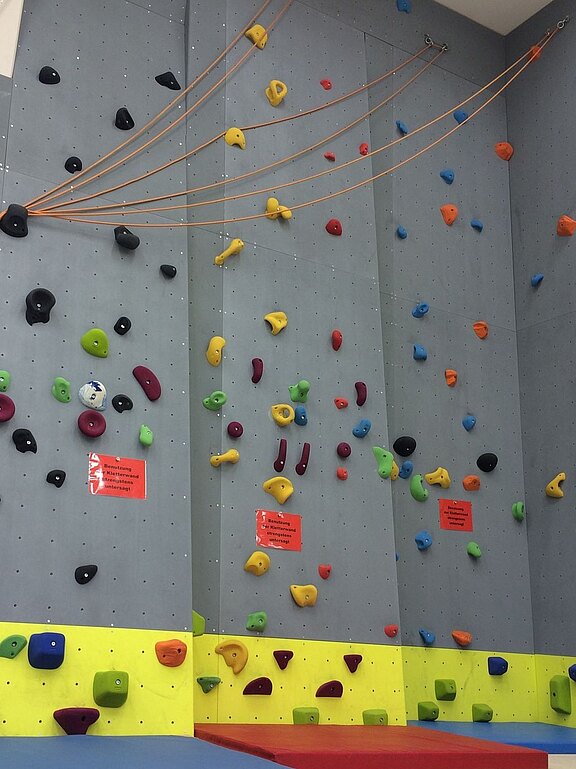 Indoor-Kletterwand mit grauen Paneelen und vielen bunten Griffen und Tritten. Mehrere Topropes hängen von oben. Unten gepolsterte Matten, gelber Wandbereich markiert. Die Szene zeigt eine Kletterhalle mit verschiedenen Routen in unterschiedlichen Schwierigkeitsgraden.