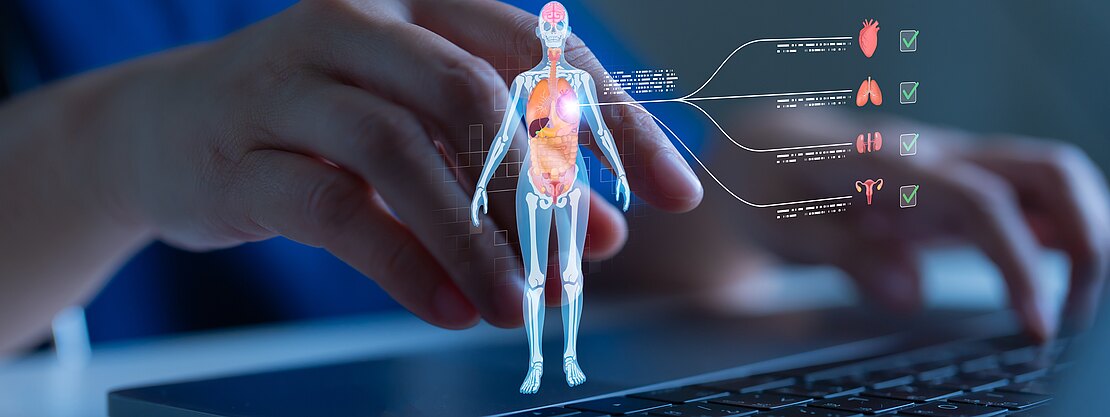 Hände bedienen einen Laptop; darüber schwebt ein digitales 3D‑Modell eines menschlichen Körpers mit hervorgehobenen Organen. Linien führen zu Symbolen für Herz, Lunge, Niere und Fortpflanzungsorgane, jeweils mit grünen Häkchen. Darstellung medizinischer Analyse und Diagnostik per Computer.