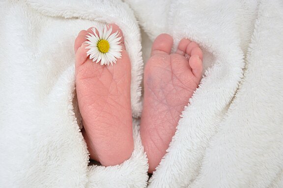 Zwei kleine Babyfüße liegen auf einem weißen, flauschigen Handtuch. Auf einem der Füße ist eine kleine Blume, eine Margerite, platziert. Die Füße sind zart und rundlich, was die Unschuld und Neuheit des Neugeborenen symbolisiert.