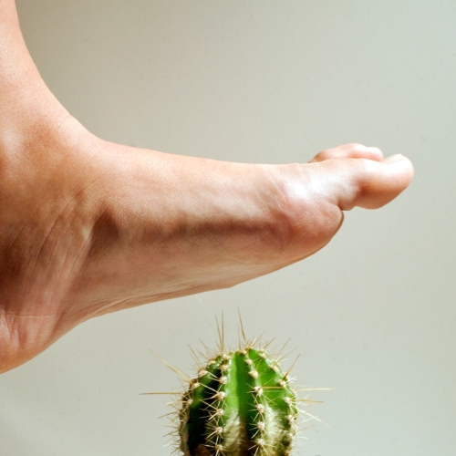 Nahaufnahme: Ein nackter Fuß schwebt dicht über einem stacheligen Kaktus – drohende Verletzungsgefahr beim Auftreten.