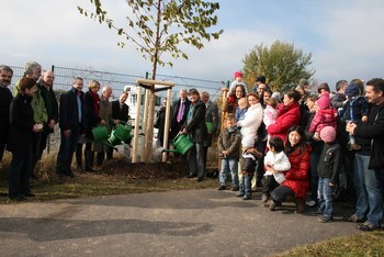 Eine Gruppe von Menschen, darunter viele Kinder, versammelt sich um einen jungen Baum, der gepflanzt wird. Einige Personen halten Gießkanister. Im Hintergrund sind Bäume und ein klarer Himmel sichtbar. Es handelt sich um eine feierliche Baumpflanzaktion.